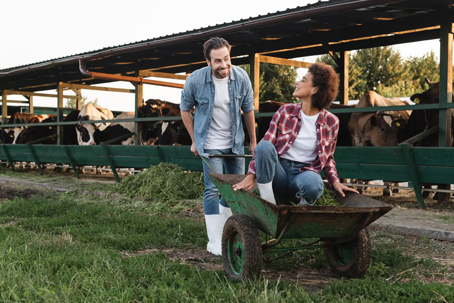 A man pushes a woman sitting in a wheelbarrow near a cow barn, both in casual clothes and white boots—perhaps discussing mortgage-financing as cows graze in the background.